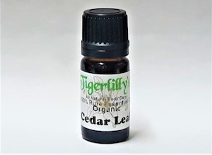 Cedar Leaf Essential Oil – Organic