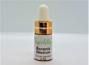 Products: Boronia Absolute – Organic