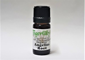 Angelica Root Essential Oil – Organic