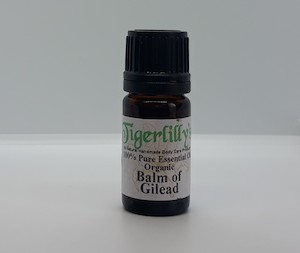 Balm of Gilead Essential Oil – Organic