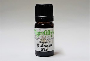 Balsam Fir Essential Oil – Organic