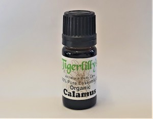 Calamus Essential Oil – Organic