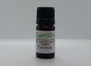 Caraway Essential Oil – Organic