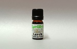 Larch Tamarack Essential Oil – Organic