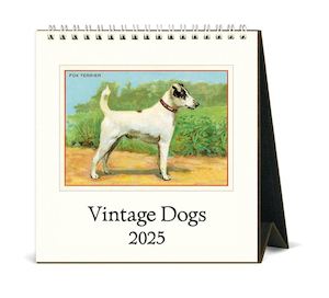 Cavallini & Co - Vintage Dogs- 2025 Desk Calendar