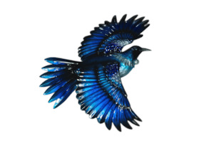 Gift: Tui in flight Metal Wall