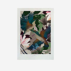 Flox: Print - Evolution Kingfishers