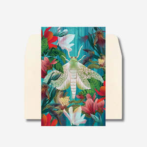 Flox: Cards - White Moth & Orchid - 6 Pack