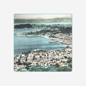 Whites Aviation - Cushion Cover - Wellington