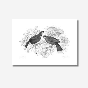 Print - Our Sacred Huia - Huia