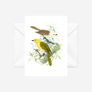 Johannes Keulemans: Johannes Keulemans - Cards - Yellowhead - Mohua and Whitehead - Popokotea - 6 Pack