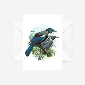 Johannes Keulemans - Cards - Tui - 6 Pack