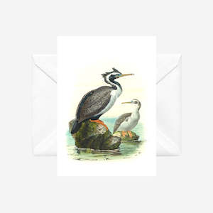 Johannes Keulemans - Cards - Spotted Shag - Kawau Tikitiki - 6 Pack