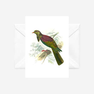 Johannes Keulemans - Cards - New Zealand Pigeon - Kereru - 6 Pack