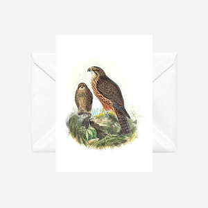 Johannes Keulemans - Cards - New Zealand Falcon - Karearea - 6 Pack