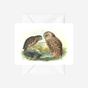 Johannes Keulemans - Cards - Morepork - Ruru and Laughing Owl - Whekau - 6 Pack