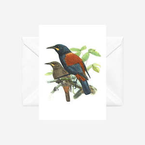 Johannes Keulemans - Cards - South Island Saddleback - Tieke and North Island Sa…