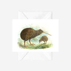 Johannes Keulemans - Cards - North Island Brown Kiwi - 6 Pack