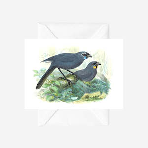 Johannes Keulemans - Cards - North Island Kokako and South Island Kokako - Koka - 6 Pack