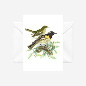 Johannes Keulemans - Cards - Stitchbird - Hihi - 6 Pack