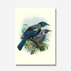 Johannes Keulemans - Print - Tui