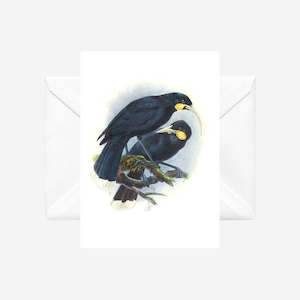 Johannes Keulemans: Johannes Keulemans - Cards - Huia - 6 Pack