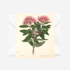 Sarah Featon - Cards - Pohutukawa - 6 Pack