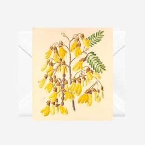 Sarah Featon - Cards - Yellow Kowhai - 6 Pack