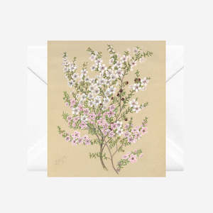 Sarah Featon - Cards - Manuka - 6 Pack