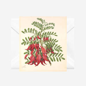 Sarah Featon - Cards - Kowhai-ngutu-kaka - 6 Pack