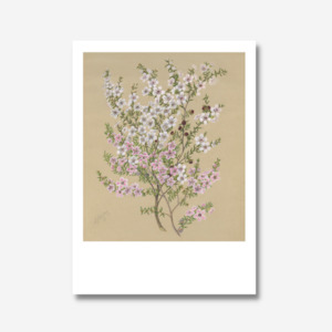 Sarah Featon - Print - Manuka