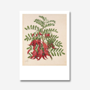 Sarah Featon - Print - Kowhai-ngutu-kaka