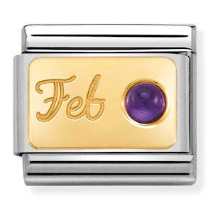 NOM-030519 02 Steel and 18ct Yellow Gold February Amethyst Birthstone