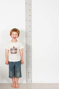 wall ruler height chart GREY [R] tinch-html5