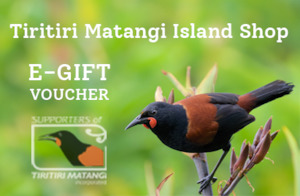 E-Gift Voucher