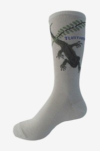 Merino Wool Socks- tuatara & fern