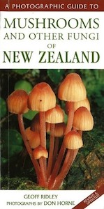 Photographic Guide to Mushrooms and Fungi of NZ