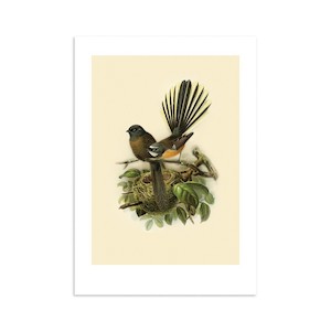 Products: A4 Art Print-Buller's pīwakawaka