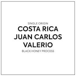 Coffee shop: Single Origin - Costa Rica - Juan Carlos - Black Honey