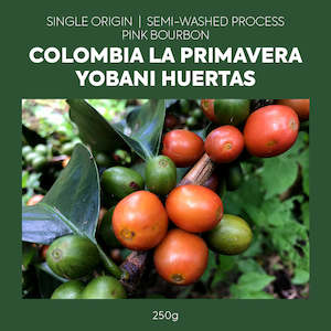 Coffee shop: Single Origin - Colombia - La Primavera Yobani Huertas