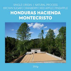 Coffee shop: Single Origin - Honduras Hacienda Montecristo