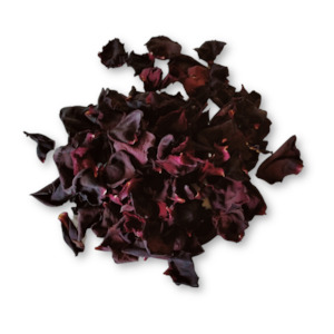 Dark Red Rose Petals