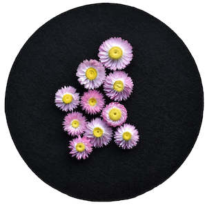 Oil or grease wholesaling - industrial or lubricating: Pink Paper Daisies