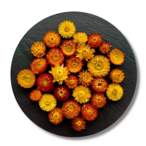 Orange Dried Strawflowers