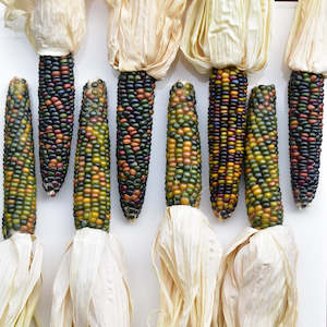 Oil or grease wholesaling - industrial or lubricating: Glass Gem Corn Cobs