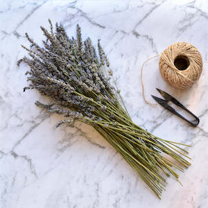 Lavender Stems