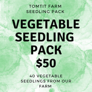 Vegetable Seedling Pack Tomtit Farm