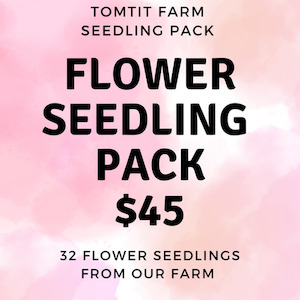 Cut Flowers Seedling Pack Tomtit Farm