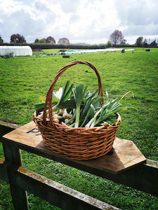 Leek Tomtit Farm