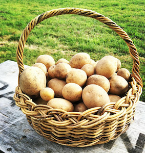 Vegetable fresh - wholesaling, washing or packing: Potatoes Tomtit Farm